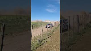 RESUMEN RALLY ARGENTINO CORONEL PRINGLES 2024 [upl. by Nayrb742]