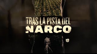 Tras la pista del narco  La serie completa [upl. by Direj]