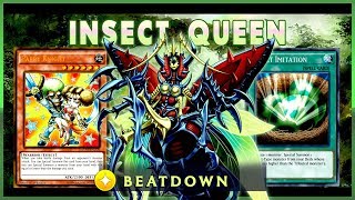 Metamorphosed Insect Queen Deck 2019  YuGiOh Duel Links [upl. by Llennoj]