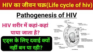 HIV का जीवन चक्र  Pathogenesis of hiv  Life Cycle of HIV  hiv aids ka jivan chakra hindi mein [upl. by Xuerd]