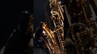 AWO20 Saxophone alto Bronze [upl. by Ok75]