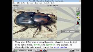 The Animal Kingdom  The Invertebrates Insects CDROM 1996 [upl. by Anitniuq]