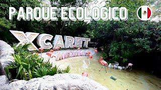 XCARET un parque ecológico y divertido que no te puedes perder [upl. by Otte]