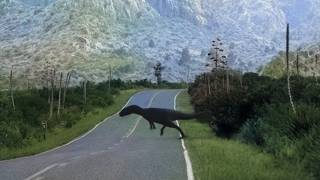 Photographs From History That Prove Dinosaurs Arent Extinct [upl. by Hcirteid]