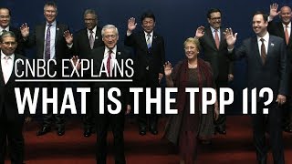 What is the TPP 11  CNBC Explains [upl. by Semele401]