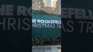 The Rockefeller Center Christmas Tree arrived on New York City [upl. by Katonah145]