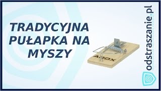 Pułapka na myszy AROX Łapka na myszy Jak pozbyć się myszy [upl. by Gerrard]