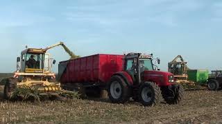 Preview New Holland 2205 VS New Holland 2405 [upl. by Simson]