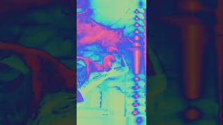 Animated multicolor effects spider BGM void amazing trending shorts youtubeshorts [upl. by Ellenehc]