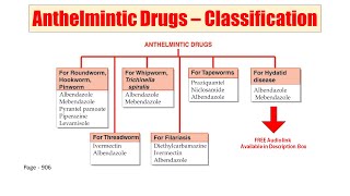 62 Anthelmintic Drugs  AUDIO Classification of Anthelmintic Drugs  Anthelmintic Drugs Examples [upl. by Attena312]