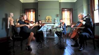 1901  Stringspace String Quartet  BirdyPhoenix [upl. by Quent10]