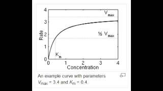 Michaelis Menten Kinetics  Pharmacology [upl. by Eitsyrc132]