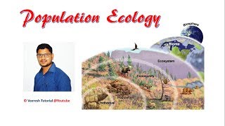 Lecture 19 Population ecology [upl. by Navoj]