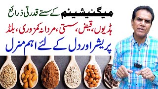 Best Inexpensive Natural Magnesium Sources  Dr Shahzad Basra [upl. by Hancock]