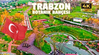 Botanik Bahçesi Trabzon  4k Turkish Black Se [upl. by Allez]