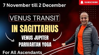 Venus transit in Sagittarius for all Ascendants 7 Nov till 2 Dec’24  VenusJupiter parivartan yoga [upl. by Collen]