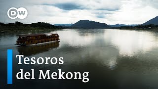 Un viaje de descubrimiento por el Mekong a través de Laos  DW Documental [upl. by Assenej128]