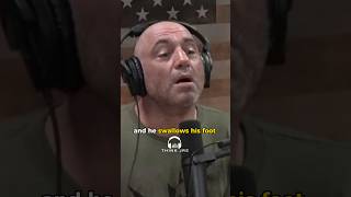 Cannibalism In Crocodiles  Ultimate Death Roll  Joe Rogan jre joerogan [upl. by Ainegul]