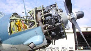 Great OLD WW2 PROPELLER Airplane Engines Cold Start and Heavy Sound 5 [upl. by Kathryn]