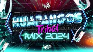 Huapangos Tribal Mix 2024  Lo Más Nuevo  Dj Alfonzin [upl. by Moseley22]