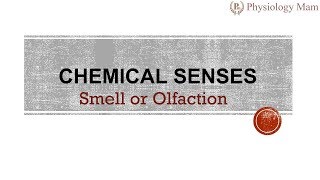 Chemical Sensations  Smell [upl. by Dnaletak]