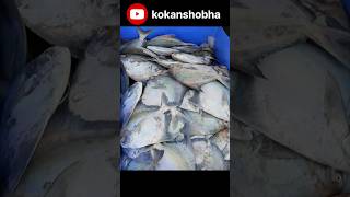 Alibaug pakatti🐟 wholesale fish market fishmarket kokan youtubeshorts [upl. by Attelahs]