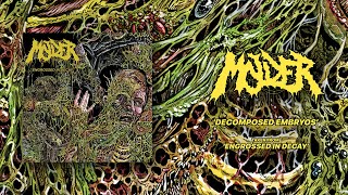 MOLDER  DECOMPOSED EMBRYOS OFFICIAL VISUALIZER [upl. by Naanac]