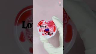 레진아트 resin art CRAVITY크래비티  Love or Die shorts shaker resin cravity kpop [upl. by Ihcalam273]