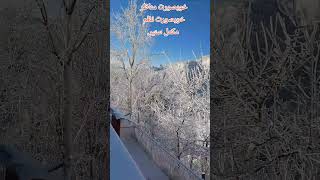 Ayubia Murree snow falling beautiful viewbamcichannel [upl. by Lorna]