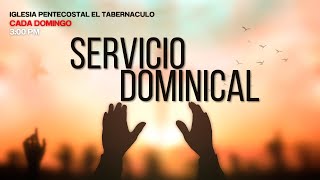 Servicio de Ujieres 110824 [upl. by Donnamarie]