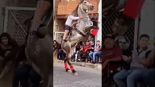 Caballo Reparando Acaba Mal🤔😱🇲🇽💯 caballos shorts caballosbailadores horse jaripeo rodeo [upl. by Hopkins280]