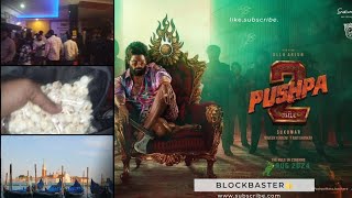 Pushpa 2 Movie link •• Theater ki ander bag bhar ki popcorn 🍿li gaya tab kya hua [upl. by Atilem149]