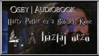 Harry Potter és a Bölcsek Köve hangoskönyv  4 fejezet [upl. by Anyal]