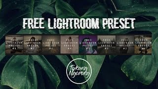 Free Preset Lightroom Mobile lightroommobile [upl. by Hyacinthie949]