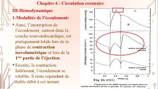 6  Circulation Coronaire 1 [upl. by Oriane64]