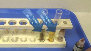 Testing for the presence of organic molecules in food [upl. by Nahtannoj425]