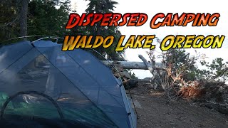 Dispersed Camping At Waldo Lake Oregon [upl. by Ynohtnaleahcim]