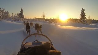 Lapland Ruka Kuusamo trip [upl. by Iba918]