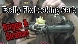 HowTo fix a leaking Briggs carburetor the complete guide [upl. by Vasiliu]