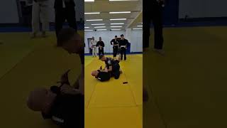 triangle and armbar drills [upl. by Raines]