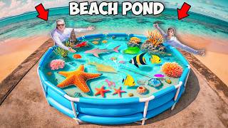 We Built a Tide Pool Saltwater Pond with Sea Creatures Found In Beach Rocks [upl. by Rebhun]