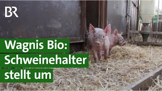 Neue Wege  Landwirt stellt um auf Bio Schweinehaltung eine Reportage  Unser Land  BR [upl. by Chrotoem]