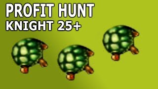 Tibia 2019 · Profit Hunt · Knight 20 · Fenrock Tortoise EK Solo Hunting Guide [upl. by Geminian]