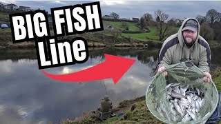 RIVER RIBBLE FLOAT FISHING  DACE AND CHUB MEGA NET [upl. by Lajes]