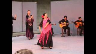 FANDANGOS DE HUELVA quotALMA PEREGRINAquot CIA DE DANZA ESPAÑOLA Y FLAMENCO [upl. by Mariandi]