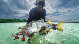 48 Hrs Fishing For BIG Snook On Swimbaits amp Topwater Lures [upl. by Brelje]