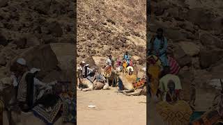 Wadi Bayda Arabic Culture 2024 travel ytshorts wadi ziyarah [upl. by Scotti]