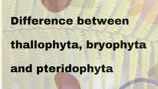 Difference between thallophyta bryophyta and pteridophyta [upl. by Gates]