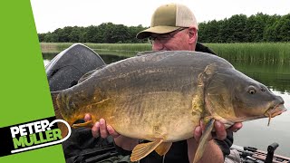 Karpfenangeln  Spontanes Angeln im Sommer  carpfishing fishing angeln [upl. by Ycak]