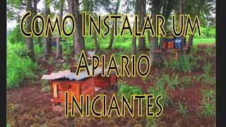 Como Instalar um Apiário PIniciantes [upl. by Erbas907]